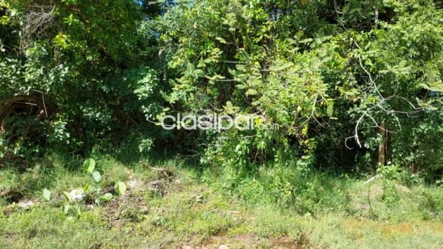 Terreno sobre Avda. Ciervo Cua - San Bernardino, foto 3