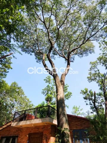 Casa quinta zona San Bernardino camino a altos — foto 3