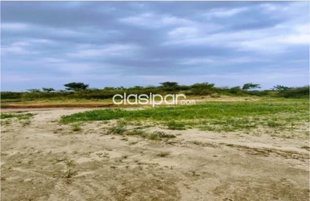 Mr alonso prox. Pto fénix: 24.500 m2 s/ rio paraguay, 650.000 usd, foto 3