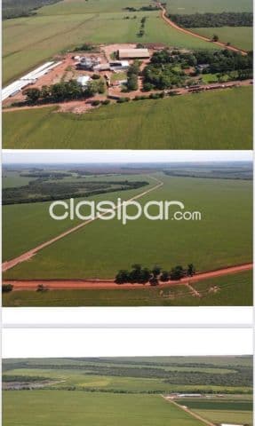 Santa rita – naranjal: 1.014 has mecanizadas + silo + infraestructura superior, 8.000 usd, foto 1