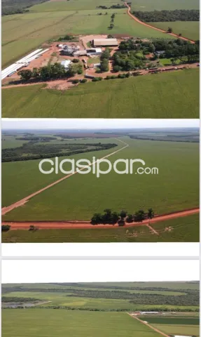 Santa rita – naranjal: 1.014 has mecanizadas + silo + infraestructura superior, 8.000 usd, foto 2