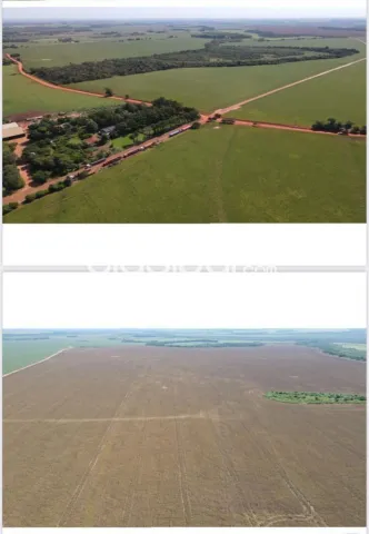 Santa rita – naranjal: 1.014 has mecanizadas + silo + infraestructura superior, 8.000 usd, foto 3