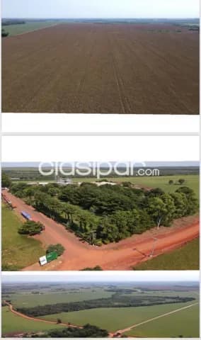 Santa rita – naranjal: 1.014 has mecanizadas + silo + infraestructura superior, 8.000 usd, foto 4