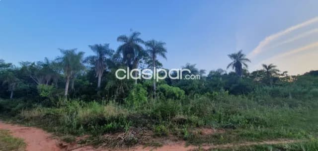 Terreno en esquina, en Altos, a 2 cuadras de la ruta Altos - Loma Grande — foto 5