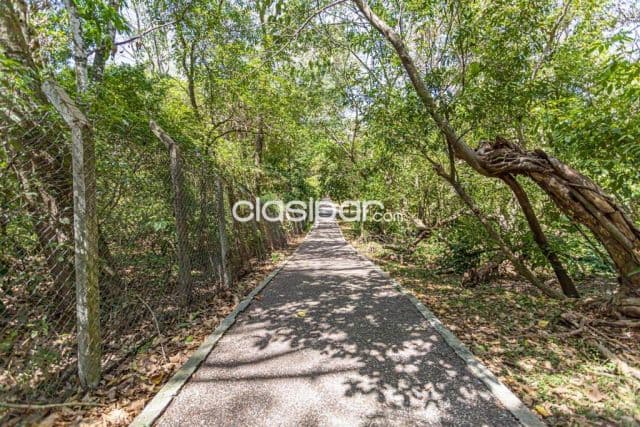 Caaa quinta en venta en Caacupe
