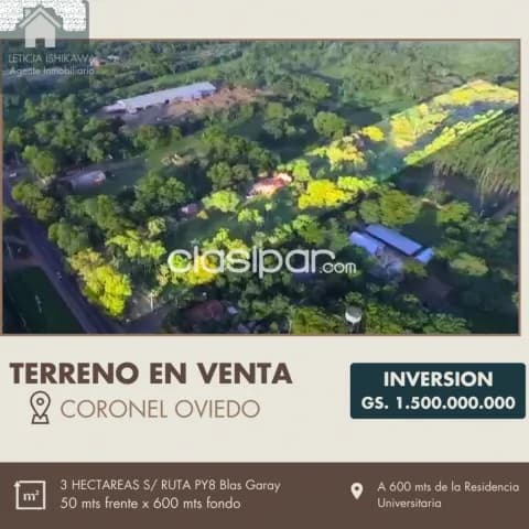 Coronel oviedo - en venta terreno de 3 has - sobre ruta 8 blas garay — foto 5