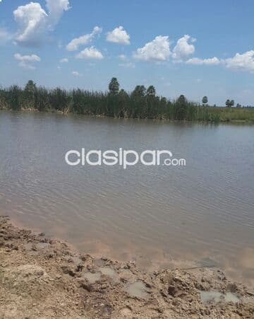 422 hectareas en juan de mena - cordillera — foto principal