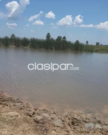 422 hectareas en juan de mena - cordillera — foto 2