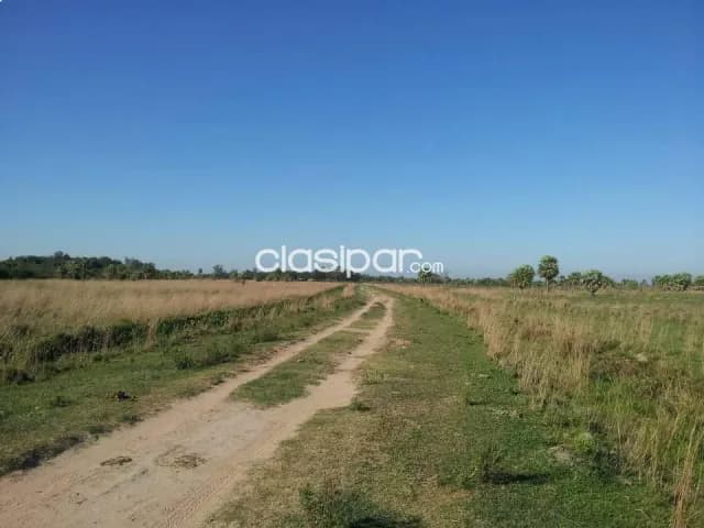 422 hectareas en juan de mena - cordillera — foto 3