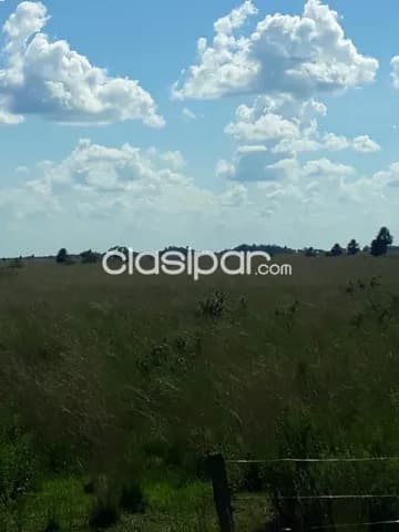 422 hectareas en juan de mena - cordillera — foto 4