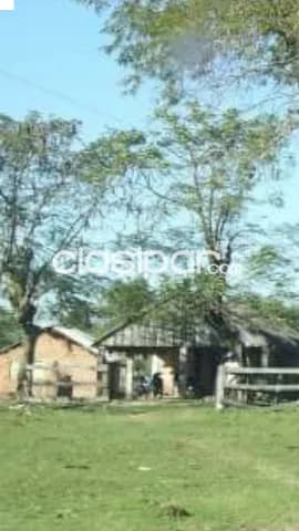 422 hectareas en juan de mena - cordillera — foto 5