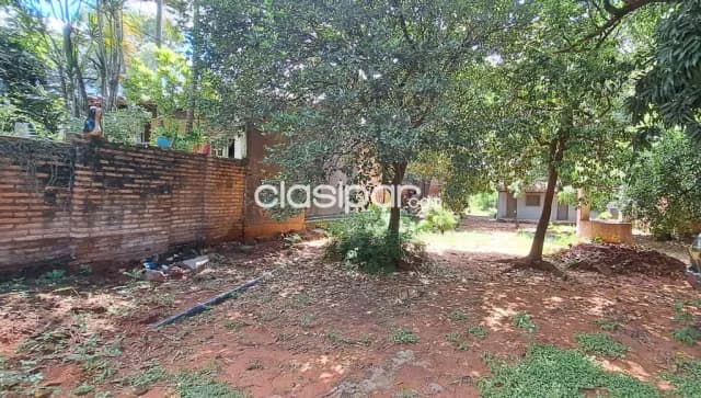 Amplio terreno en lambare — foto 4