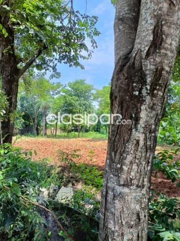 Espectacular Terreno de 8.139 m2 en San Lorenzo - LLA5822857, foto 5