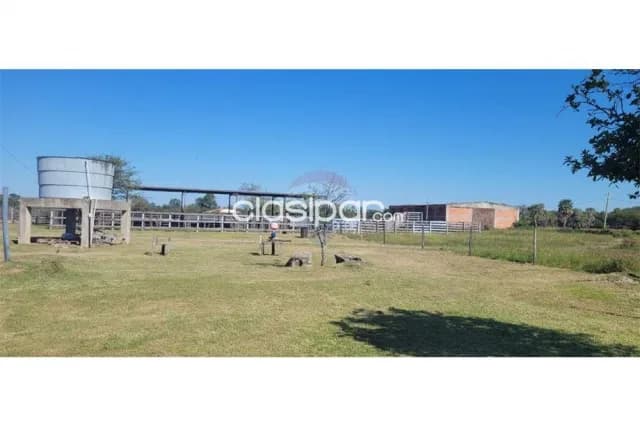 10 hectáreas en chacoi c/infraestructura p/engorde intensivo de ganado, foto 3