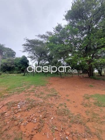 4 terrenos, juntos o separados, fraccion lago vista 2. Cerro patiño, foto 1