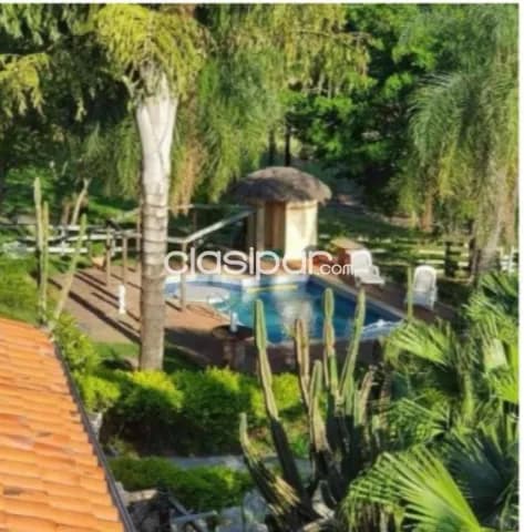 o Alquilo Estancia de 280 has en Ybytymi, Paraguarí - CLCS5825764, foto 3