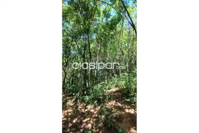 Terreno en venta en la ciudad de San Bernardino, foto 3