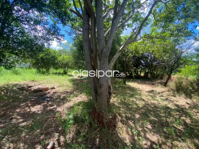 lote de 797 m2 en Obligado, a pasos del Club Alemán, foto 4