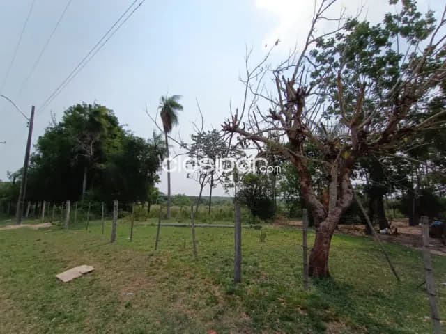 propiedad en Nueva Colombia, foto 3