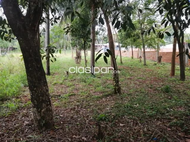 Terreno en ypane zona paso de oro thompson, foto 5