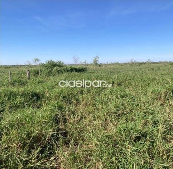 Campo Ganadero de 2.260 Hectáreas en Boquerón, Pirizal - CLCS5839860