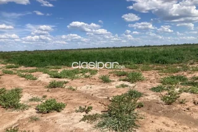 Campo Ganadero de 2.260 Hectáreas en Boquerón, Pirizal - CLCS5839860 — foto 3
