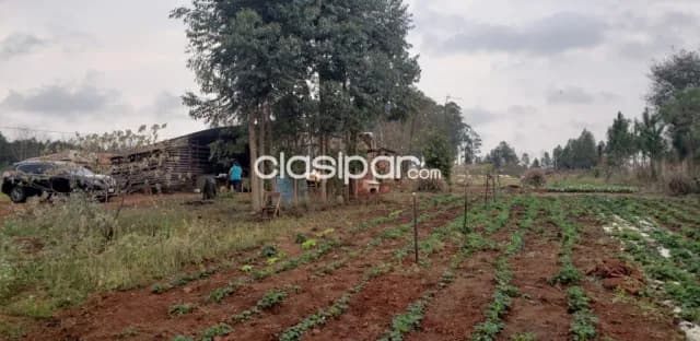 6 hectáreas en Pirapey 41, con arroyo y construcciones — foto 3