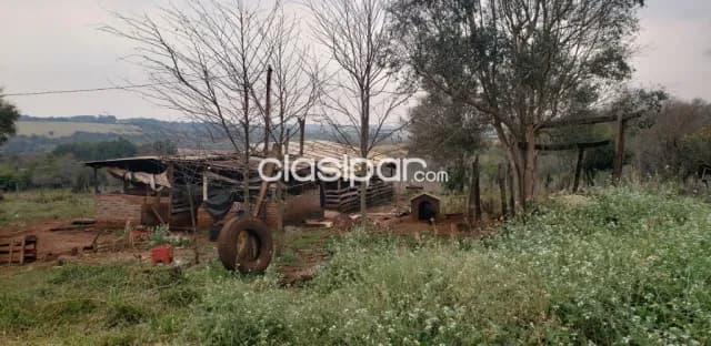 6 hectáreas en Pirapey 41, con arroyo y construcciones — foto 4