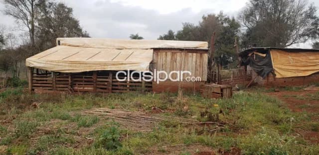 6 hectáreas en Pirapey 41, con arroyo y construcciones — foto 5