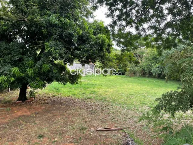Terreno importante zona yatch con salida a uno de los hoyos del campo de golf, foto 5
