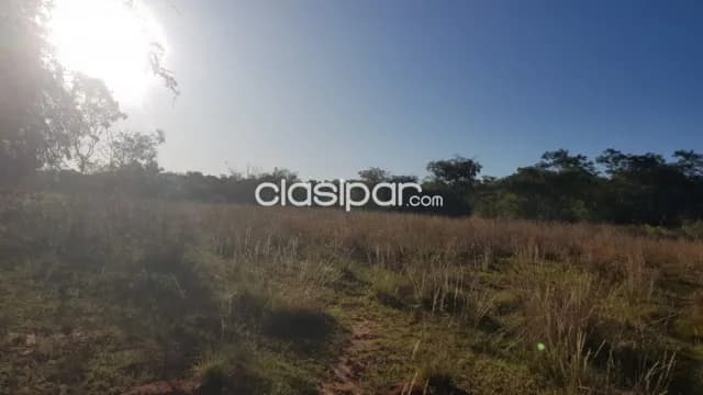 De remate propiedad de 16 hectareas en piribebuy...!!! — foto 3