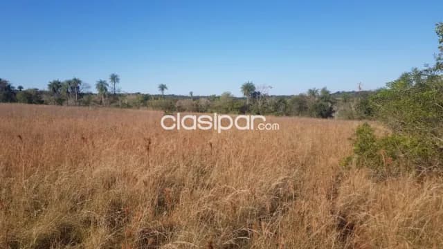 De remate propiedad de 16 hectareas en piribebuy...!!! — foto 4