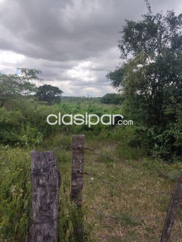 50 Hectáreas en Chaco i, sobre ruta asfaltada — foto principal