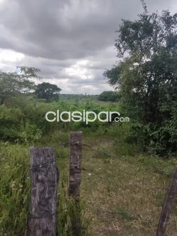 50 Hectáreas en Chaco i, sobre ruta asfaltada — foto 2