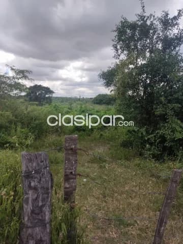 50 Hectáreas en Chaco i, sobre ruta asfaltada — foto 3