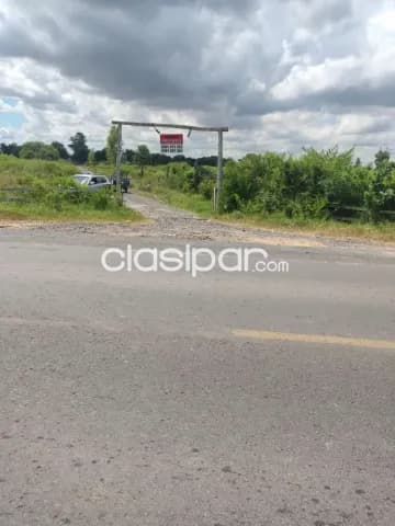 50 Hectáreas en Chaco i, sobre ruta asfaltada — foto 4