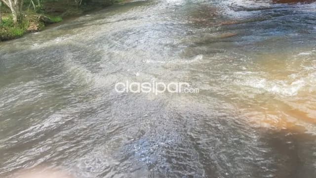 50 Hectáreas en Chaco i, sobre ruta asfaltada — foto 5