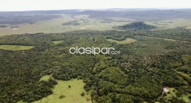 Campo Agrícola/Ganadero/Forestal en Coronel Oviedo - 300 Ha