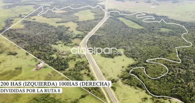 Campo Agrícola/Ganadero/Forestal en Coronel Oviedo - 300 Ha — foto 3
