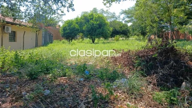 En Venta Terreno inmejorable ubicacion Sobre la Avda Victoriano Curiel, Zona Alta — foto 3