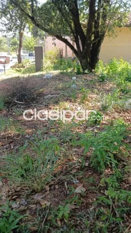 En Venta Terreno inmejorable ubicacion Sobre la Avda Victoriano Curiel, Zona Alta — foto 4