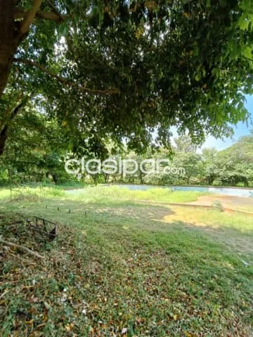 Terreno de 10.000 m2 en Villa Laurelty, San Lorenzo - CLLA5882253, foto 2
