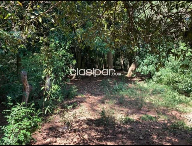 Terreno de 1.910 m2 en San Bernardino, foto 2