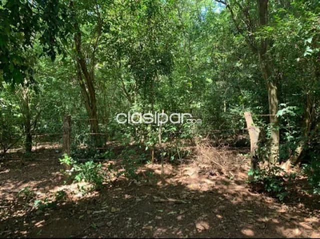Terreno de 1.910 m2 en San Bernardino, foto 4