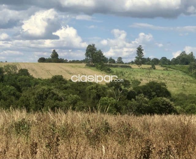 Campo Agrícola/Ganadero en Itapua Poty - 20 Ha