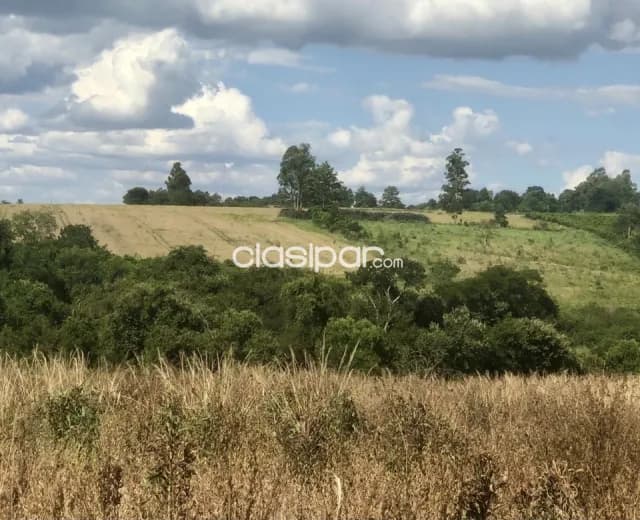 Campo Agrícola/Ganadero en Itapua Poty - 20 Ha — foto 2