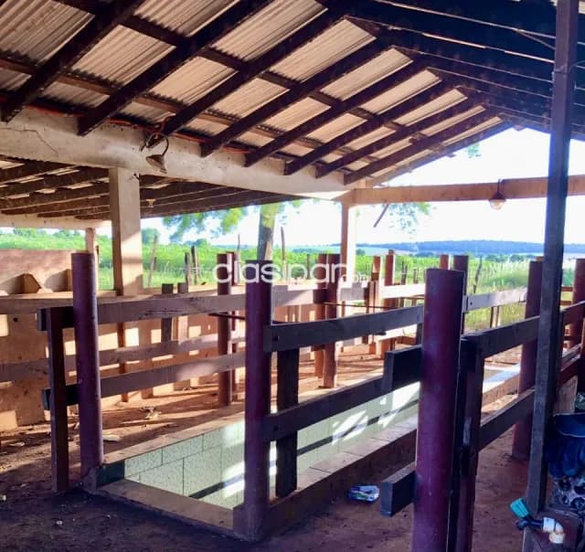 Campo Agrícola/Ganadero en Itapua Poty - 20 Ha — foto 3