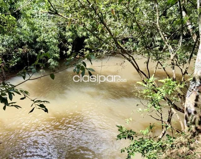Campo Agrícola/Ganadero en Itapua Poty - 20 Ha — foto 4