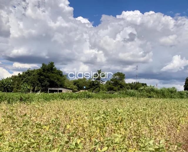 Campo Agrícola/Ganadero en Itapua Poty - 20 Ha — foto 5