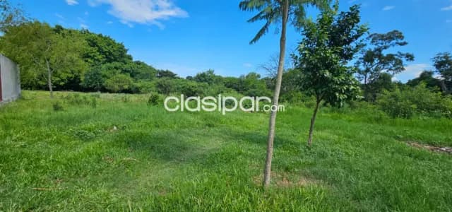 Terreno en venta en Luque, foto 5